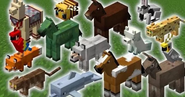 If you could have one pet, which would you love to have the most?